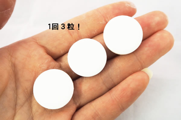 シックスパッド2（SIXPAD2）HMB サプリメント