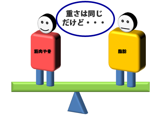 脂肪と筋肉では見た目に大きな差
